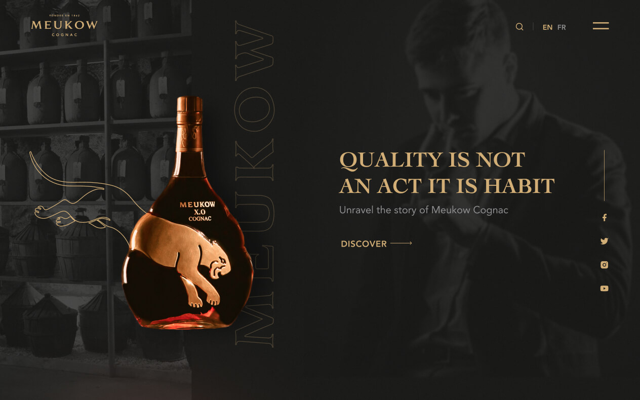 projects meukow-cognac
