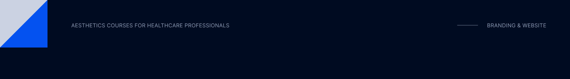 Skild Aesthetics cover