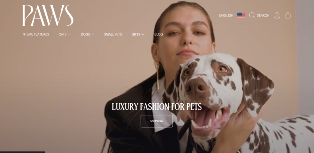 Shopify Video Banner Website Example