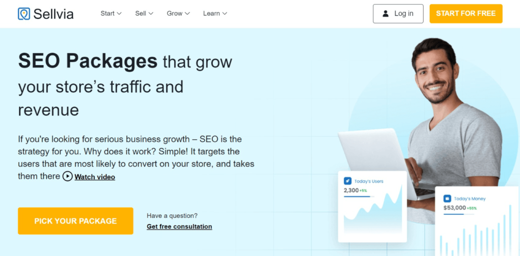 Sellvia SEO Tools and Packages