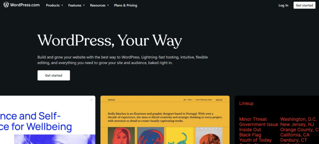 WordPress website
