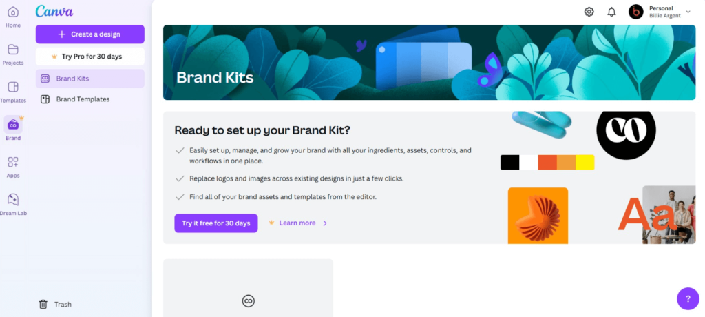Canva Business Model Innovation